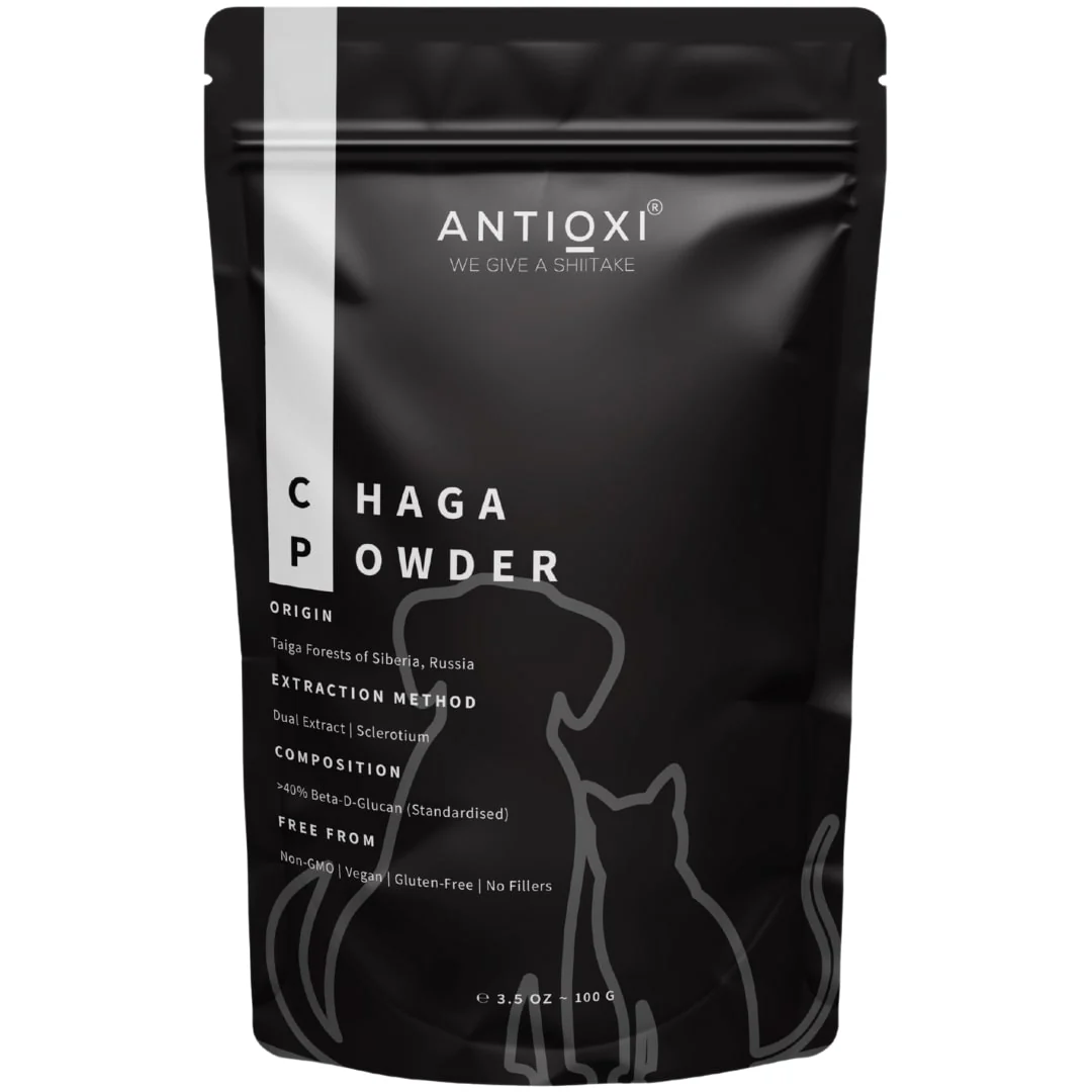 Chaga | Pets - Image 9