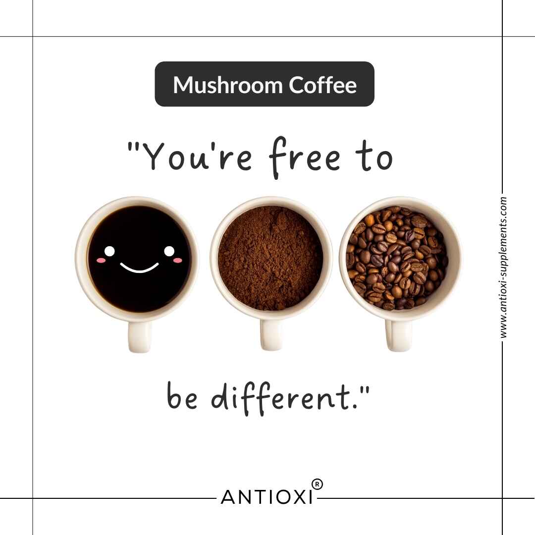 Mushroom Coffee | Rise (Boost) - Image 8