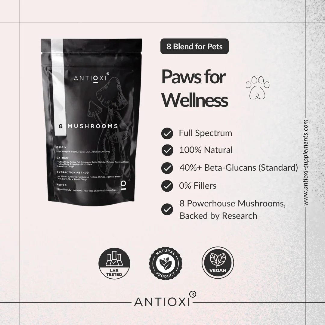 8 Mushroom Blend | Pets - Image 3