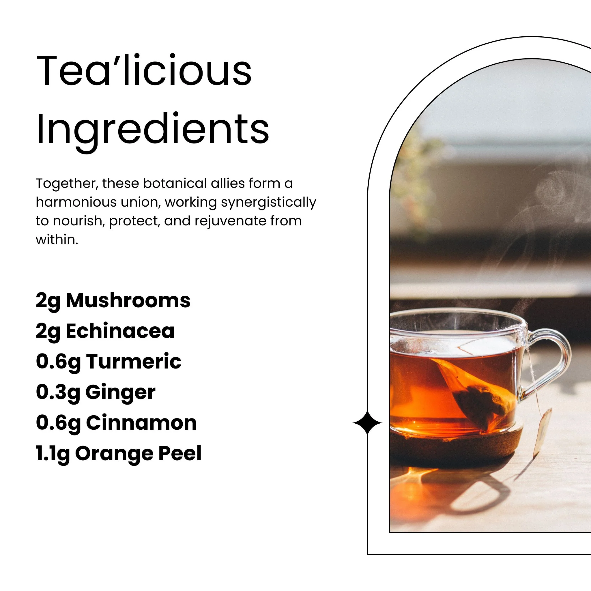 Mushroom Tea Bundle - Image 7