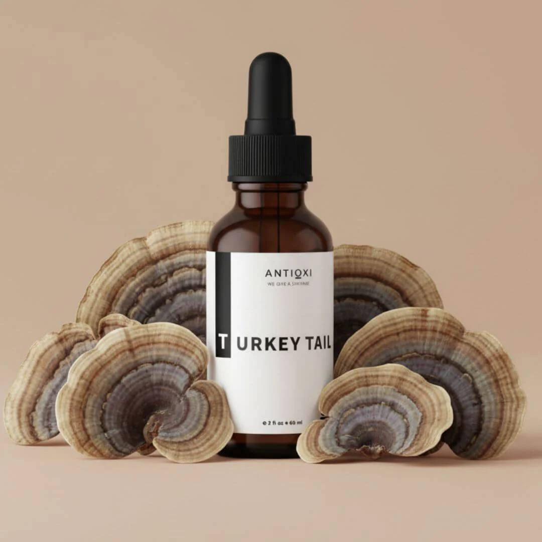 Turkey Tail Tincture